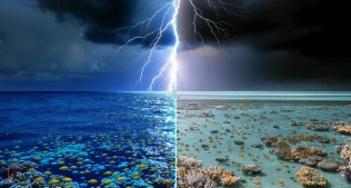 Okeanın duzluluğunda 30% azalma: Qlobal iqlim üçün yeni təhlükə nədir?