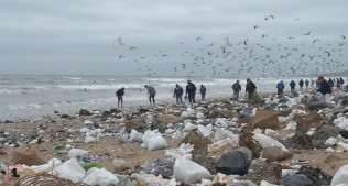 Hər il 20 milyon ton plastik okeanları necə zəhərləyir? – Şok reallıq!