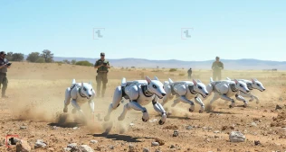 Saatda 17 km sürətlə işləyən yeni robot-itlər qrup əməliyyatlarını necə dəyişdirir?