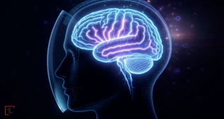 Beyin Venoz Sinuzları: Dinamik Qoruyucu Sistem Necə İşləyir?