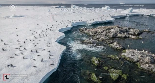 Antarktikada istiliyin təsiri: Azərbaycanın sahil bölgələrinə potensial təsirləri