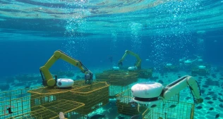 Çində sualtı robotlar dəniz təsərrüfatında inqilab yaradır