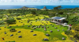 180 İldən Sonra Qalapaqosda Nəhəng Tısbağalar Yenidən Göründü – Tarixi An!