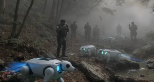 Tirumala Meşələrində Təhlükəsizliyi Robot İtlərlə Necə Gücləndirirlər?