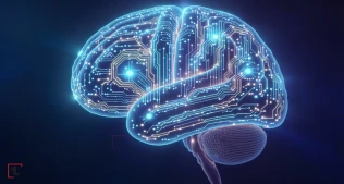 Hemispheric: Süni İntellektlə Beyin Sağlamlığında Yeni Dövr Başlayır