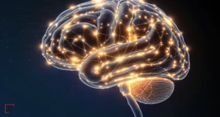 Neo4j Qraf Bazası Süni İntellektdə İnqilabi Dəyişikliyə Yol Açır